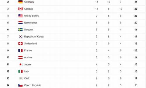 平昌冬奥会奖牌排行榜_平昌冬奥会上奖牌榜