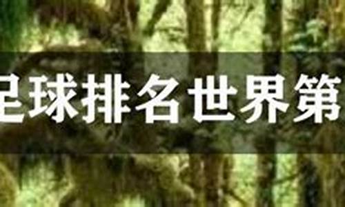 冰岛男足世界最新排名-冰岛世界足球排名